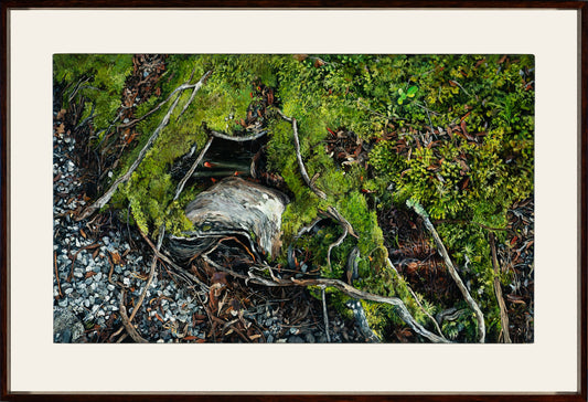 Kim Wilson Brisbane Contemporary Artist hyper-realism painting nature