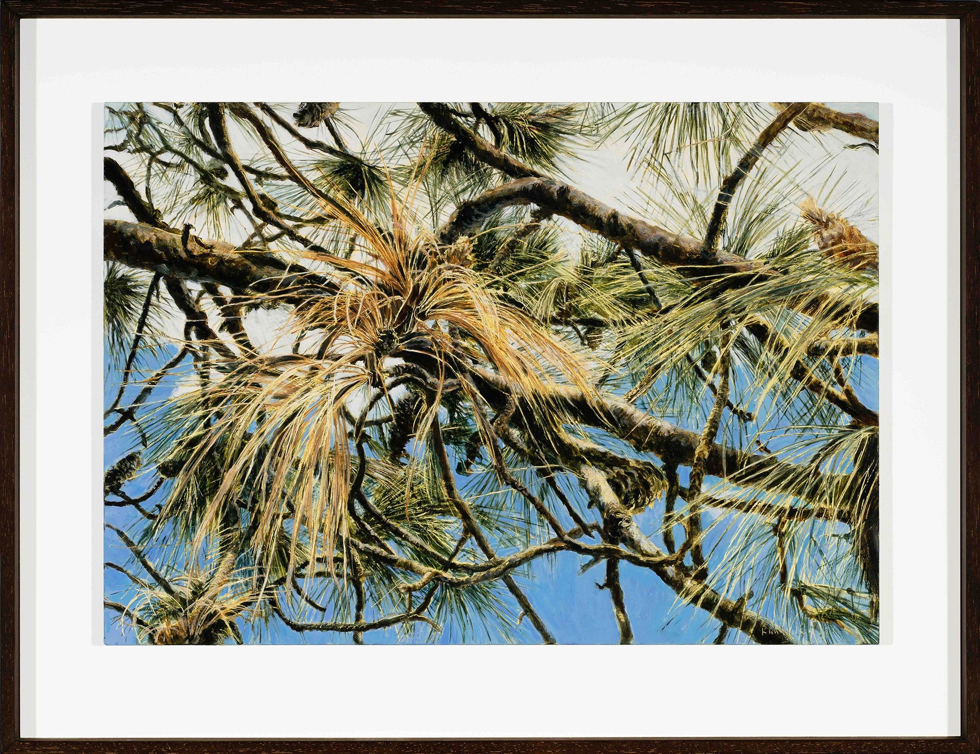 Kim Wilson artworks - Noosa paintings