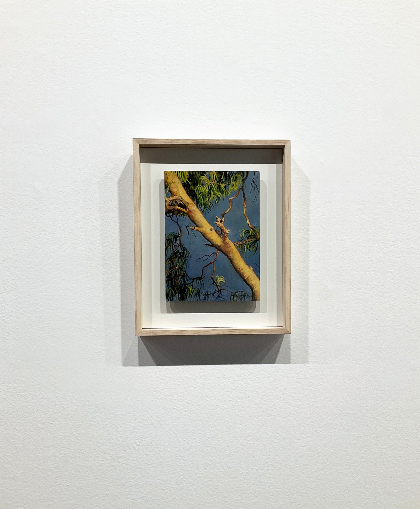 Kim Wilson Australian Flora Painting