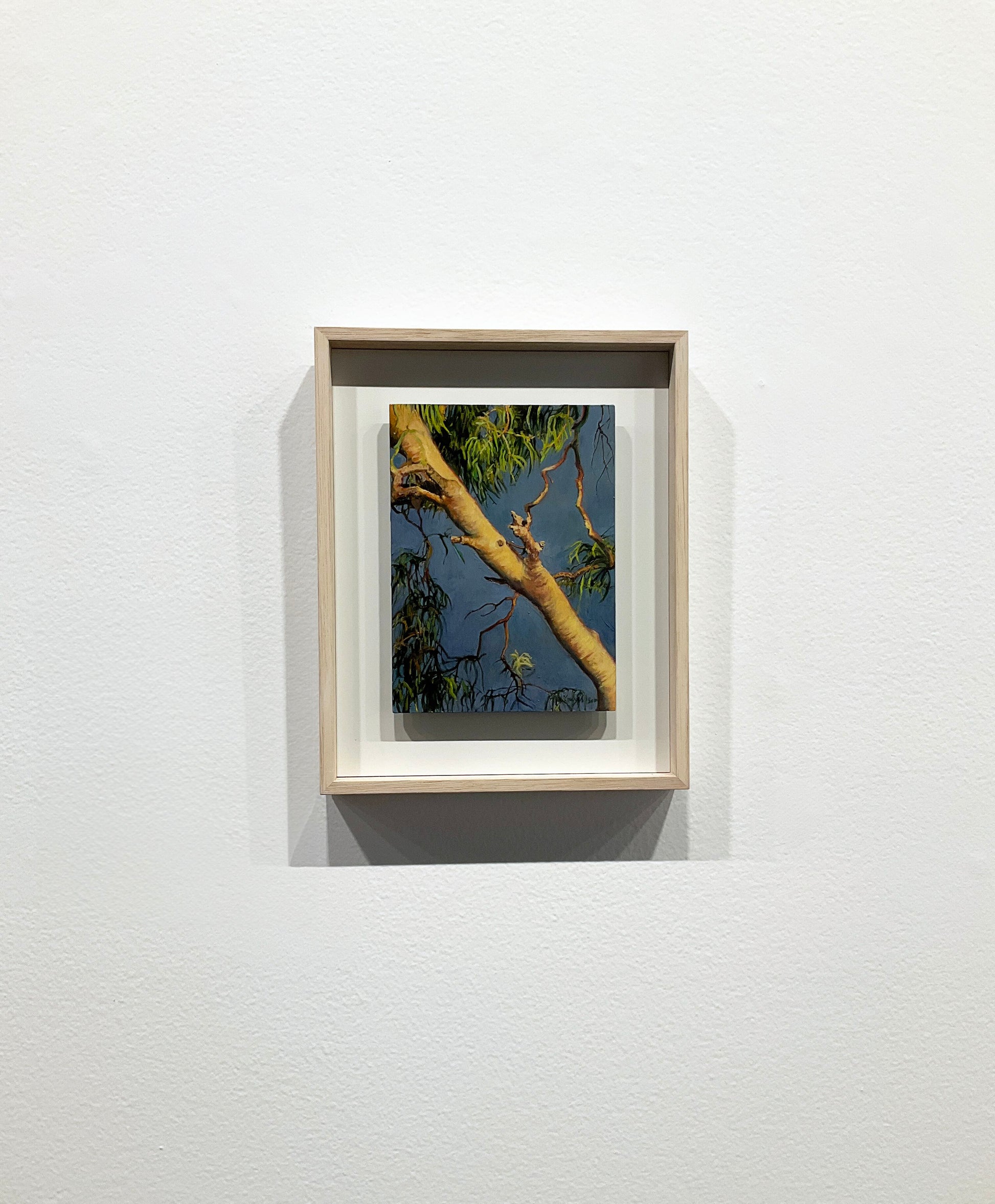 Kim Wilson Australian Flora Painting