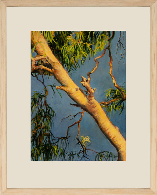 Kim Wilson Australian Flora Painting
