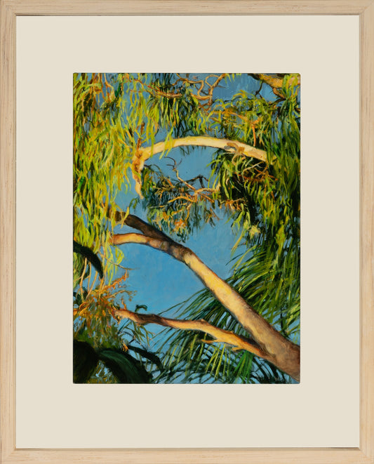 Kim Wilson Brisbane Contemporary Artist hyper-realism painting nature