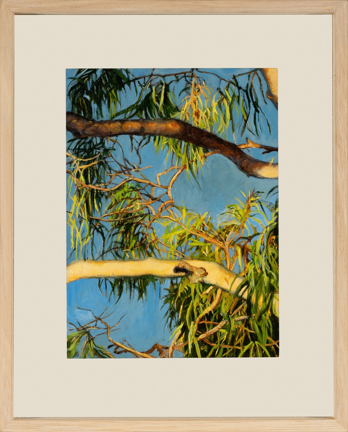 Kim Wilson Brisbane Contemporary Artist hyper-realism painting nature