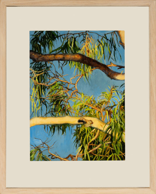 Kim Wilson Brisbane Contemporary Artist hyper-realism painting nature