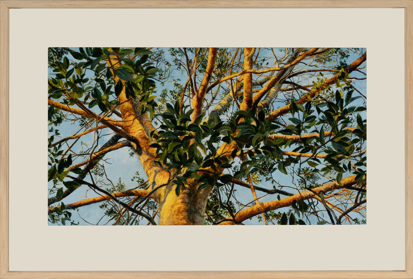 Kim Wilson Brisbane Contemporary Artist hyper-realism painting nature