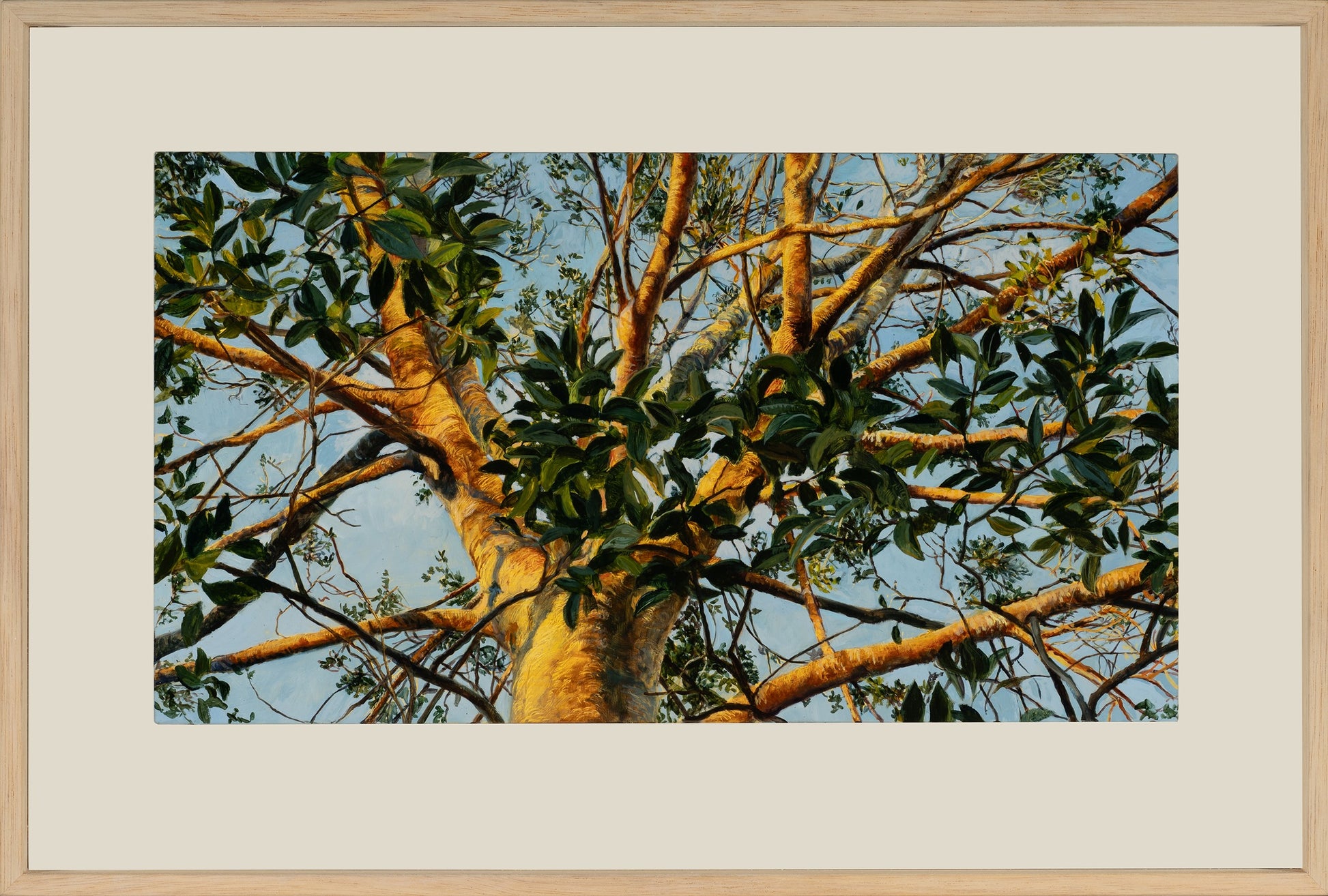 Kim Wilson Brisbane Contemporary Artist hyper-realism painting nature