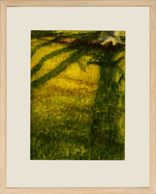 Kim Wilson Brisbane Contemporary Artist hyper-realism painting nature