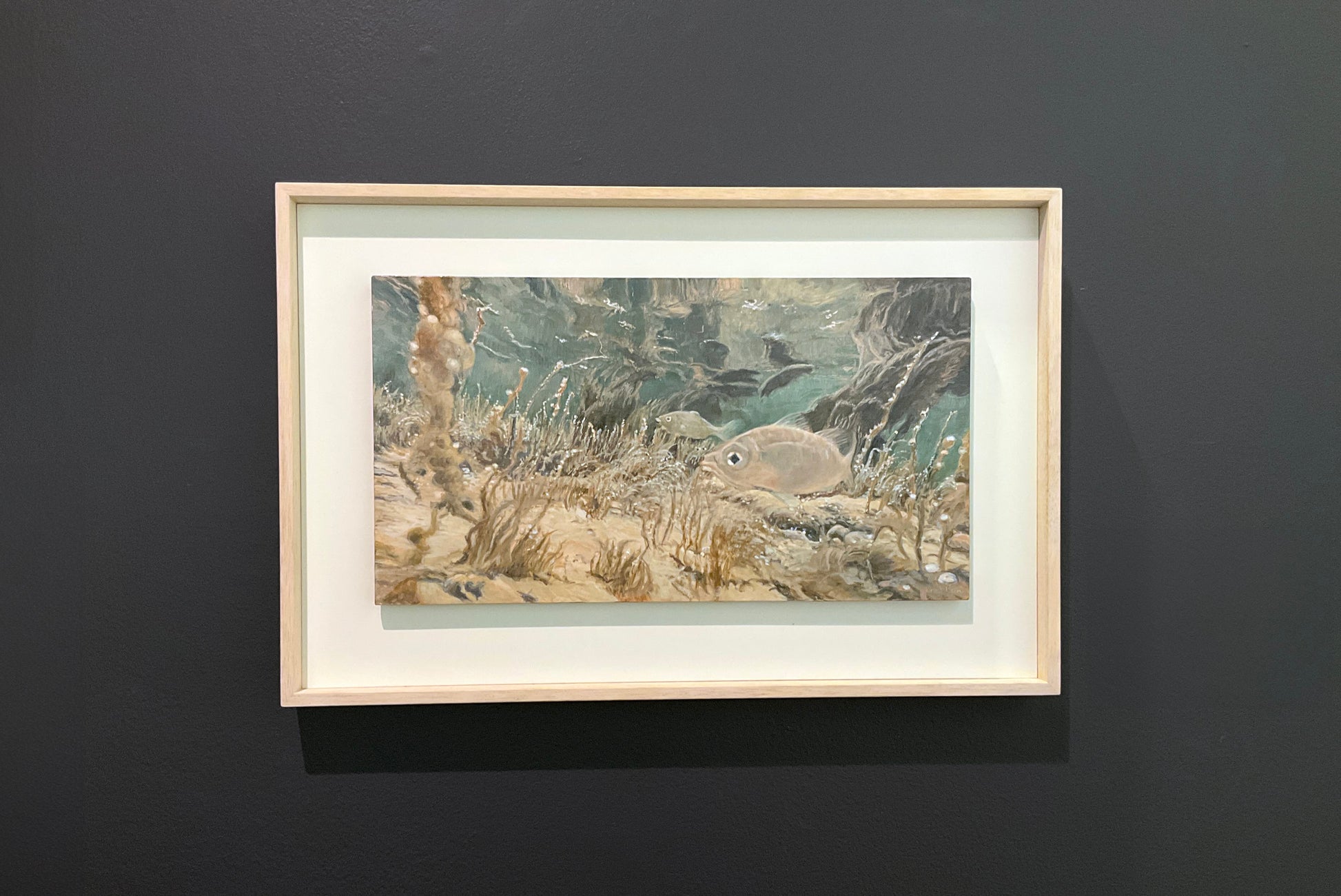 Kim Wilson Contemporary Artist ocean fish