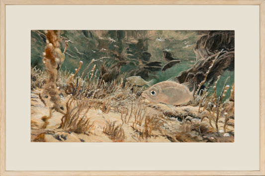 Kim Wilson Contemporary Artist ocean fish