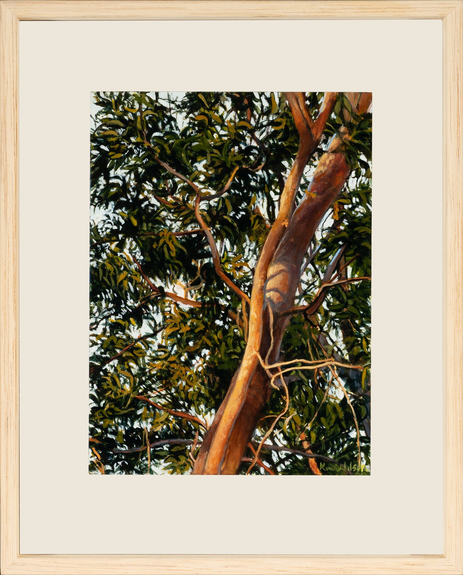 Kim Wilson Brisbane Contemporary Artist hyper-realism painting nature