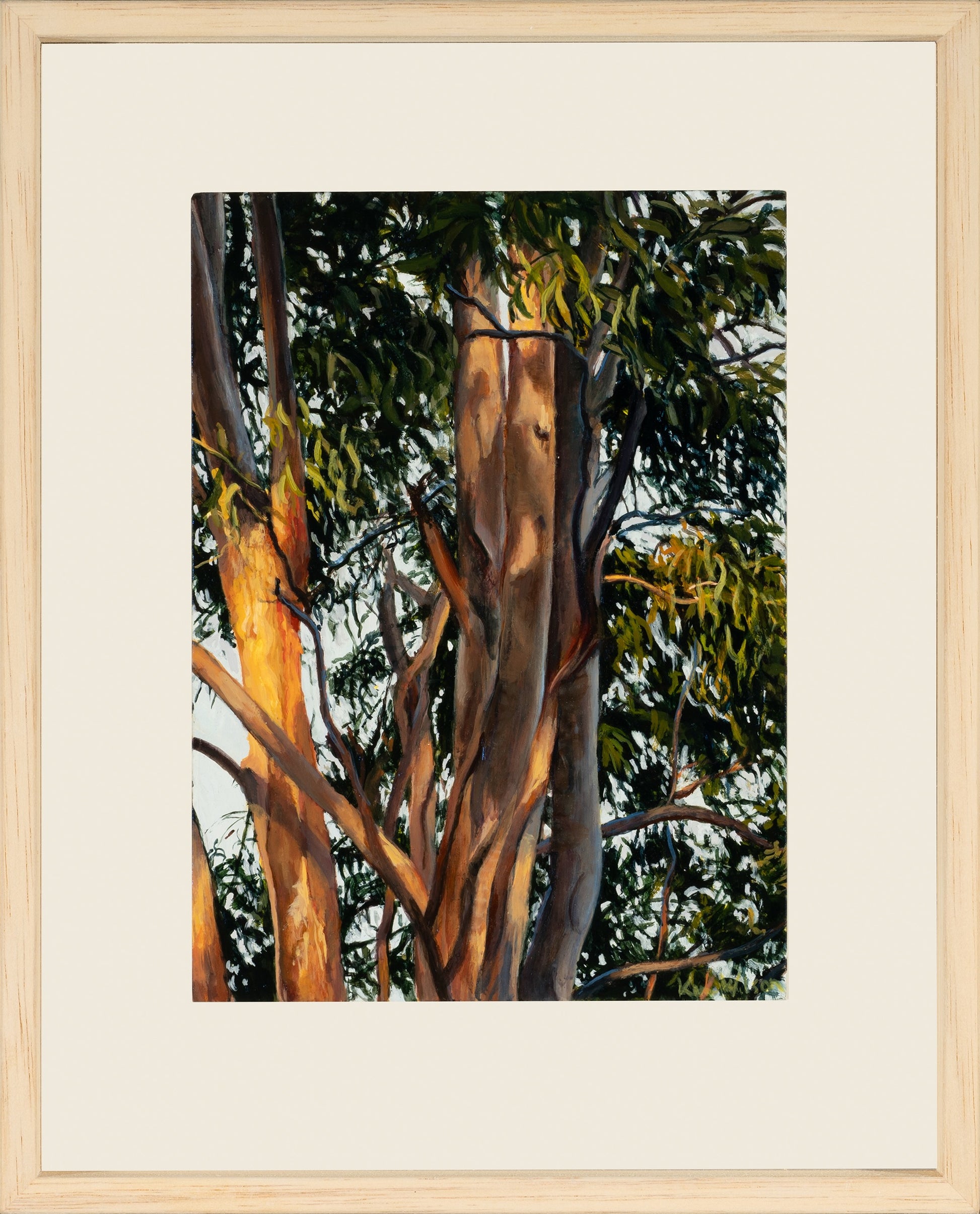 Kim Wilson Brisbane Contemporary Artist hyper-realism painting nature