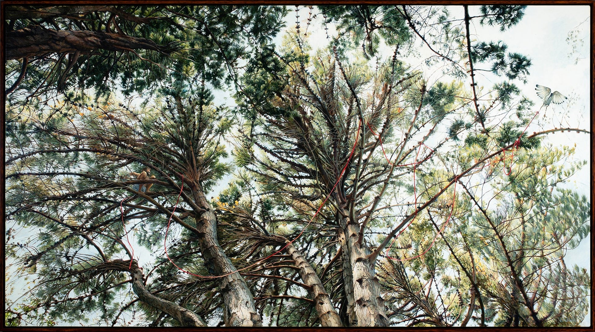 Kim Wilson Brisbane Contemporary Artist hyper-realism painting nature