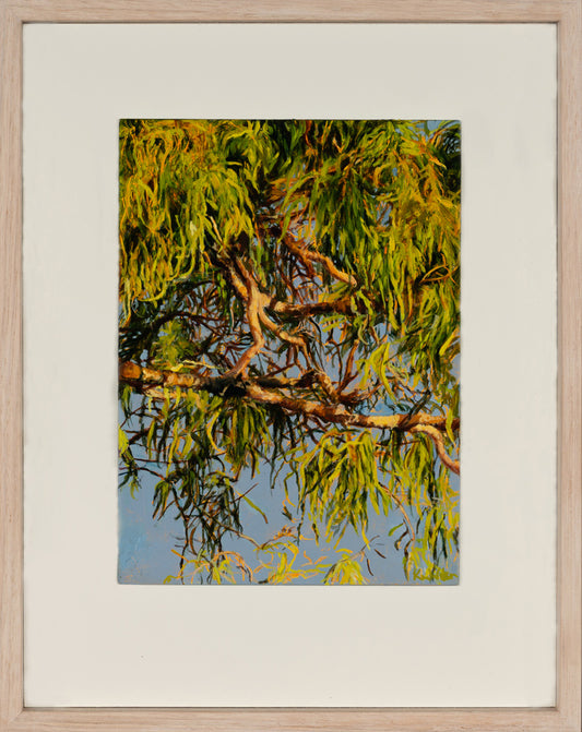 Kim Wilson Landscape painter | Buy contemporary art in Brisbane