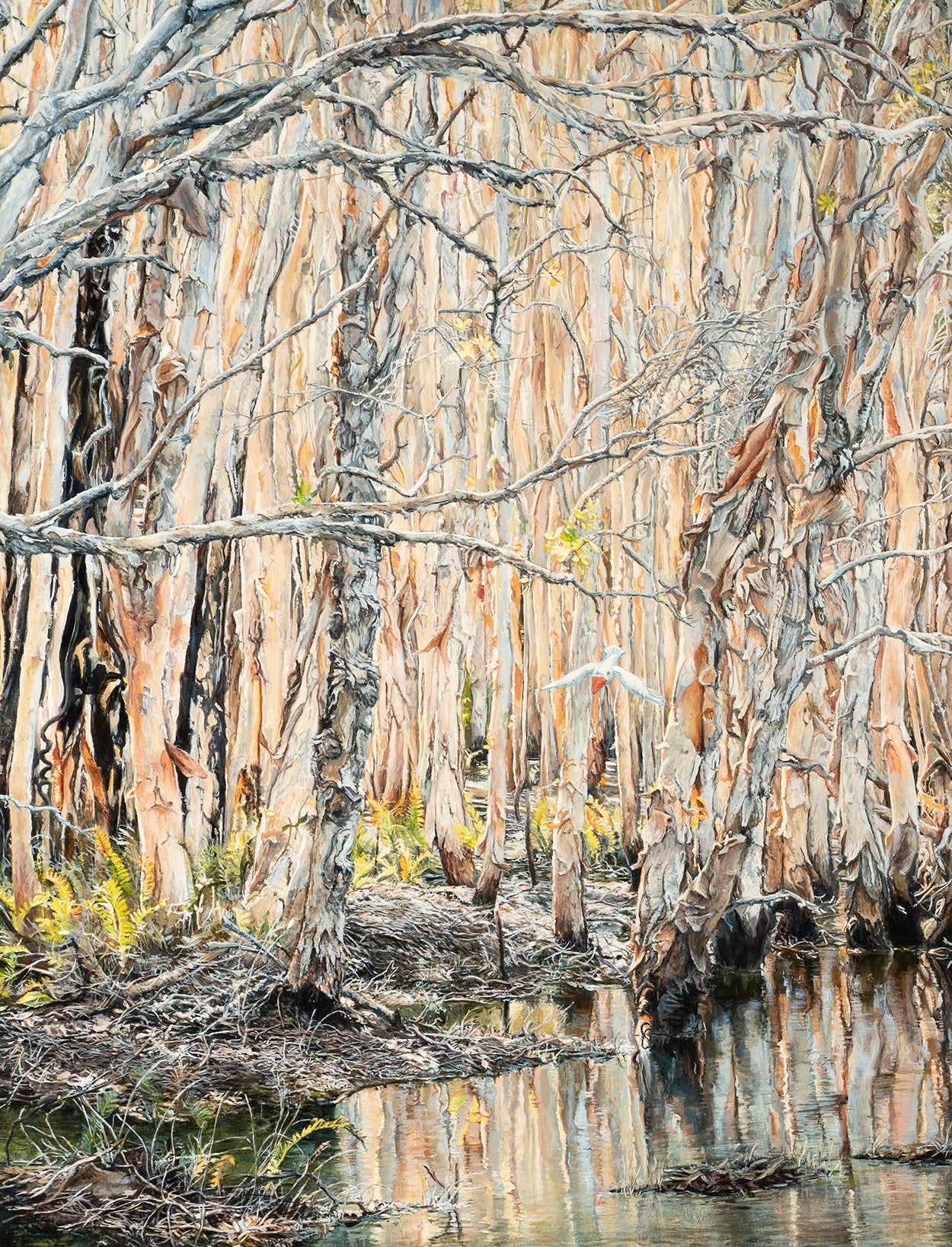Kim Wilson paintings - Noosa landscape artworks