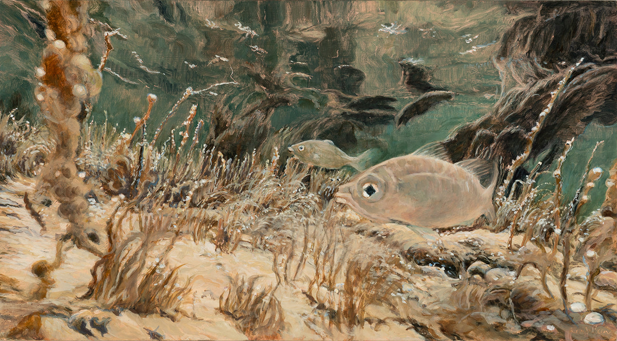 Kim Wilson paintings Brisbane