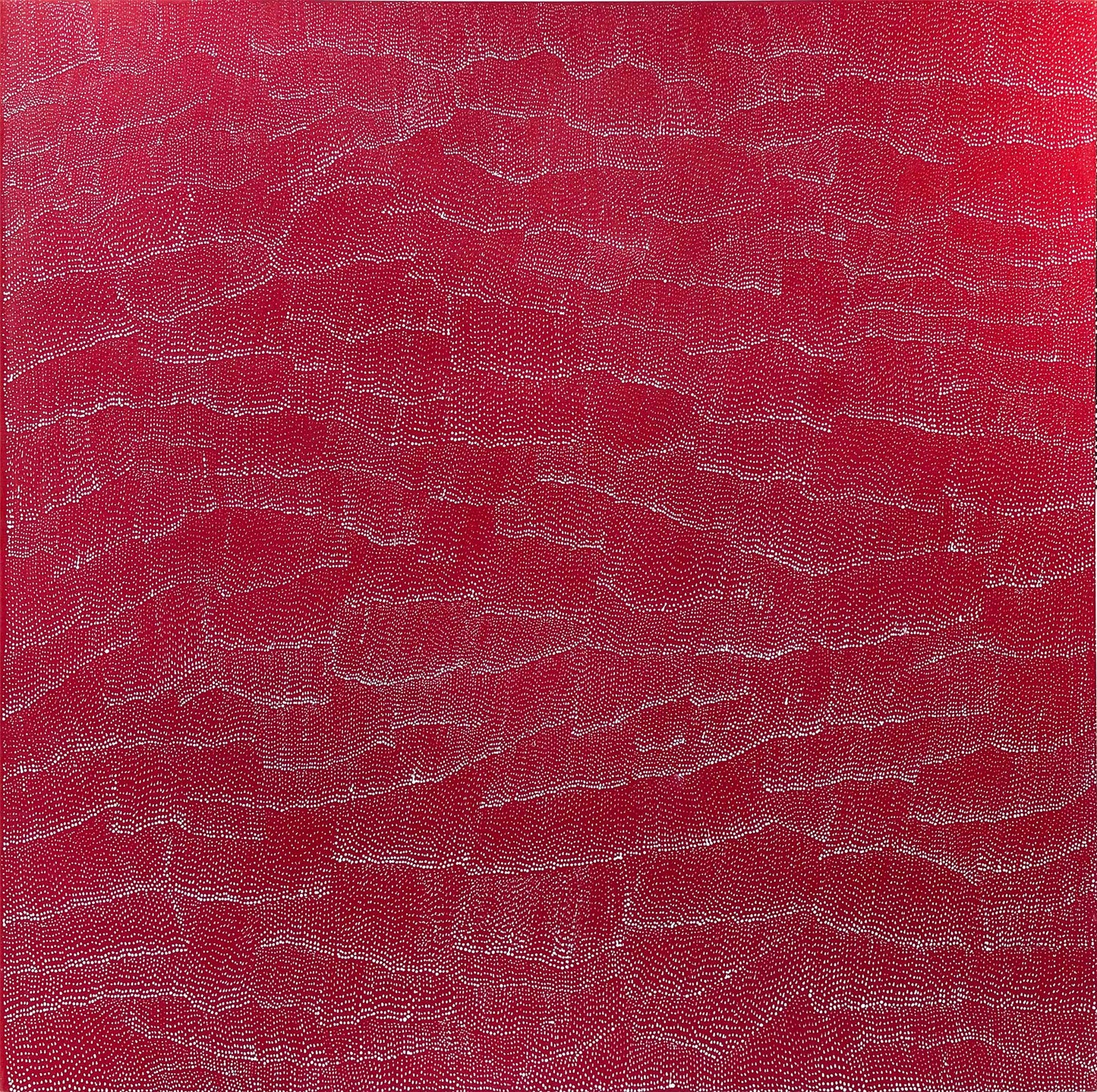 Lily Kelly Napangardi 'Tali' Paintings
