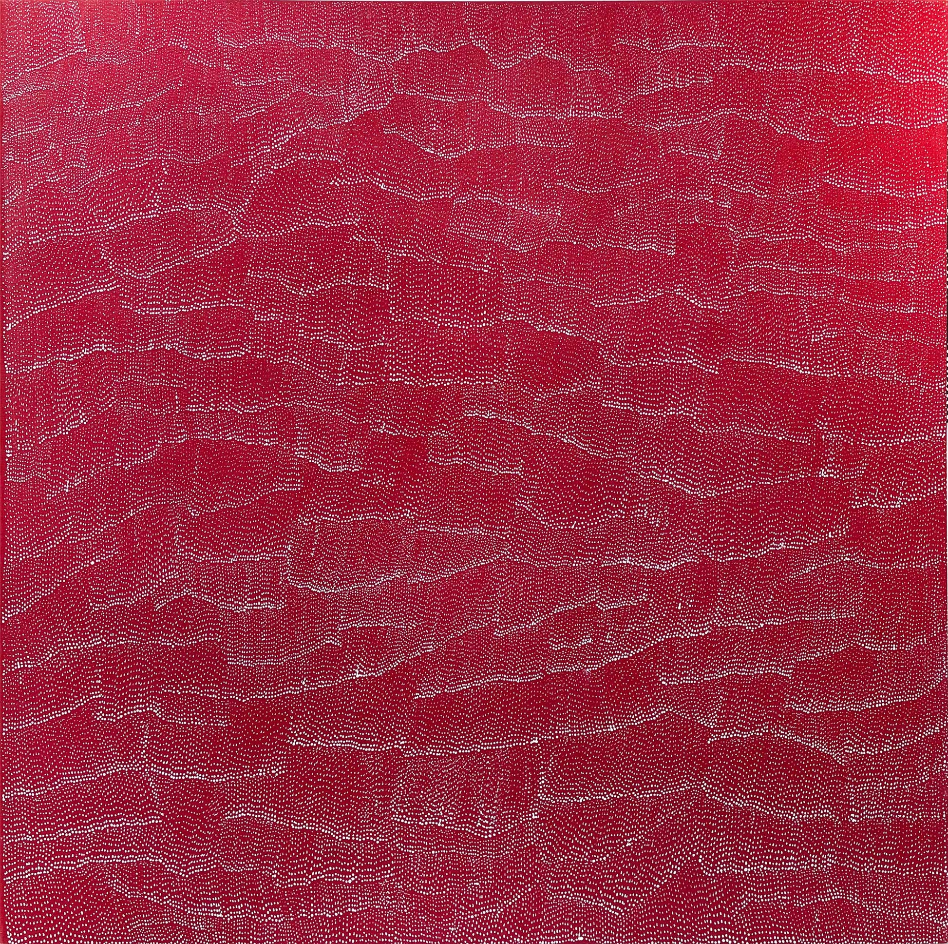 Lily Kelly Napangardi 'Tali' Paintings