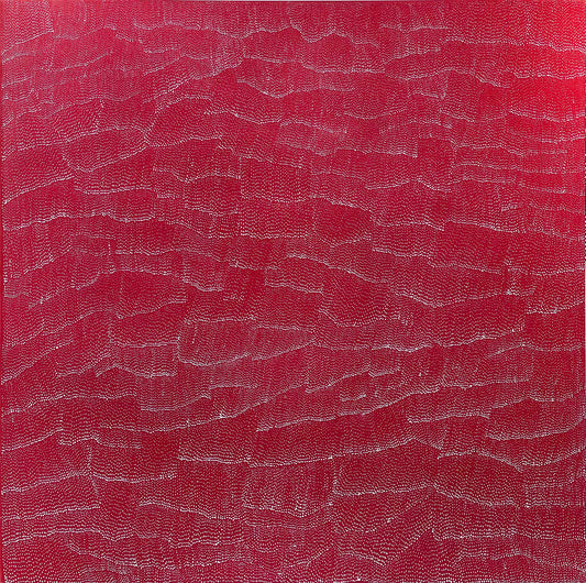 Lily Kelly Napangardi 'Tali' Paintings