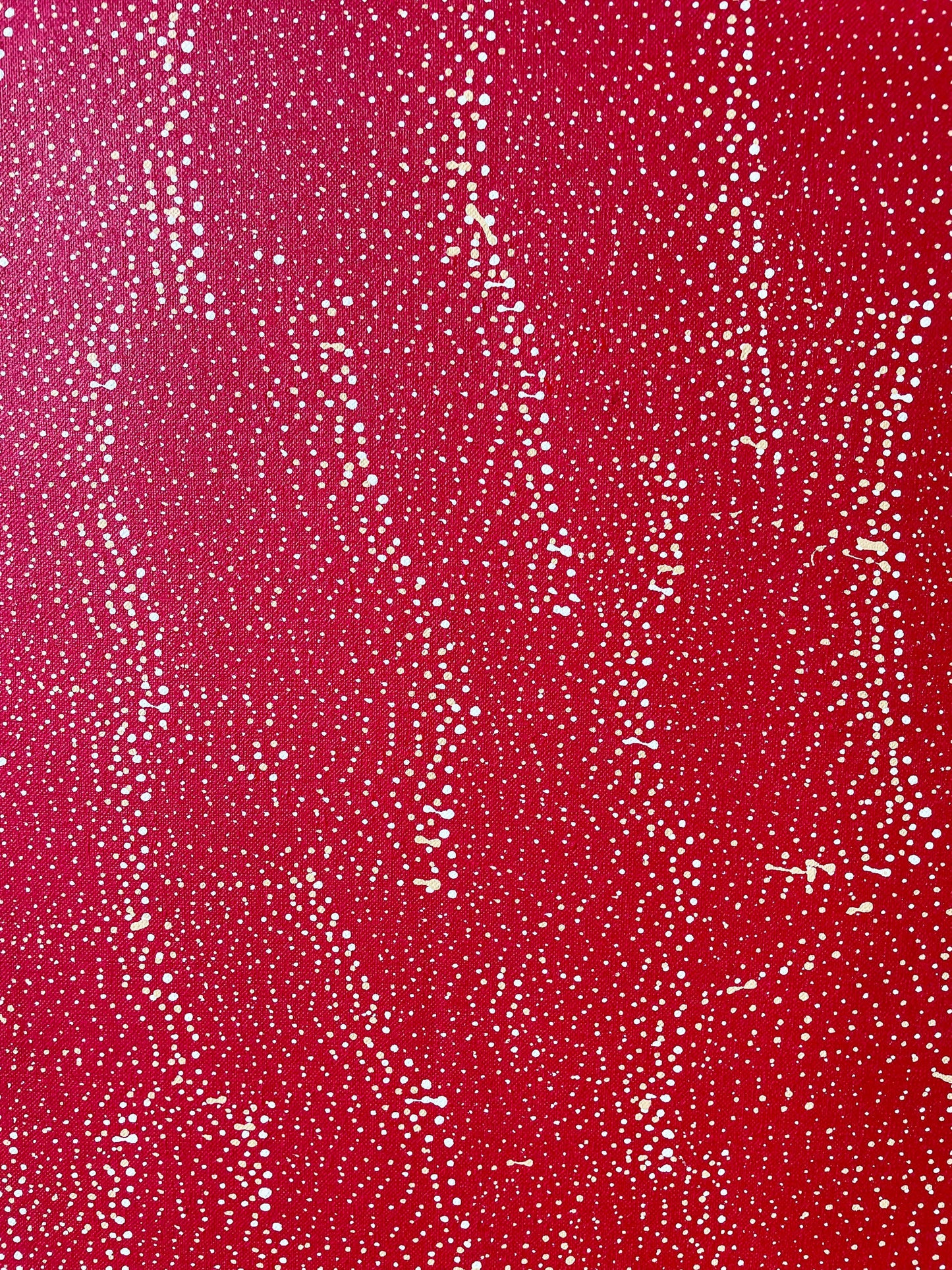 Lily Kelly Napangardi First Nations Artist