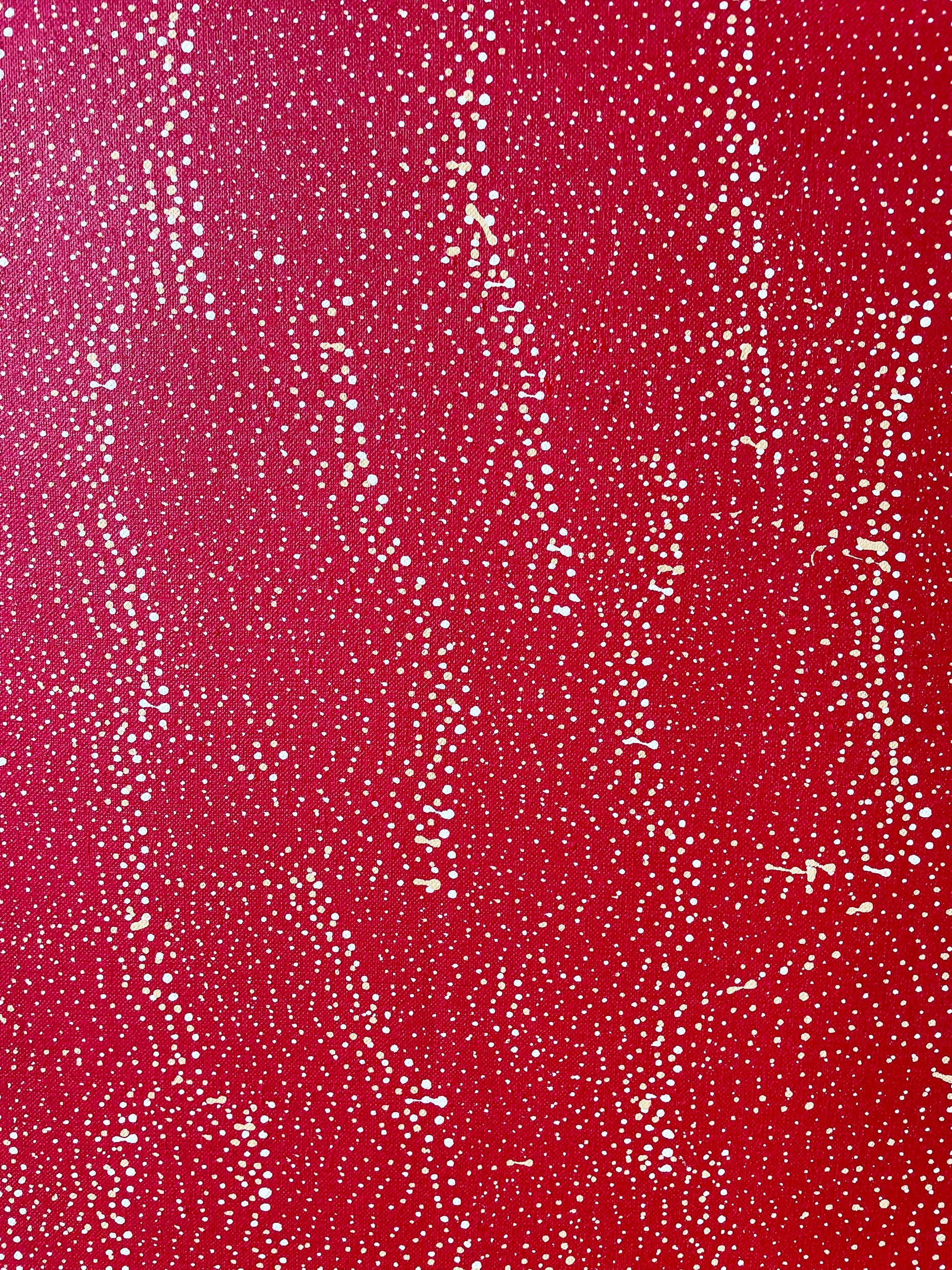 Lily Kelly Napangardi First Nations Artist