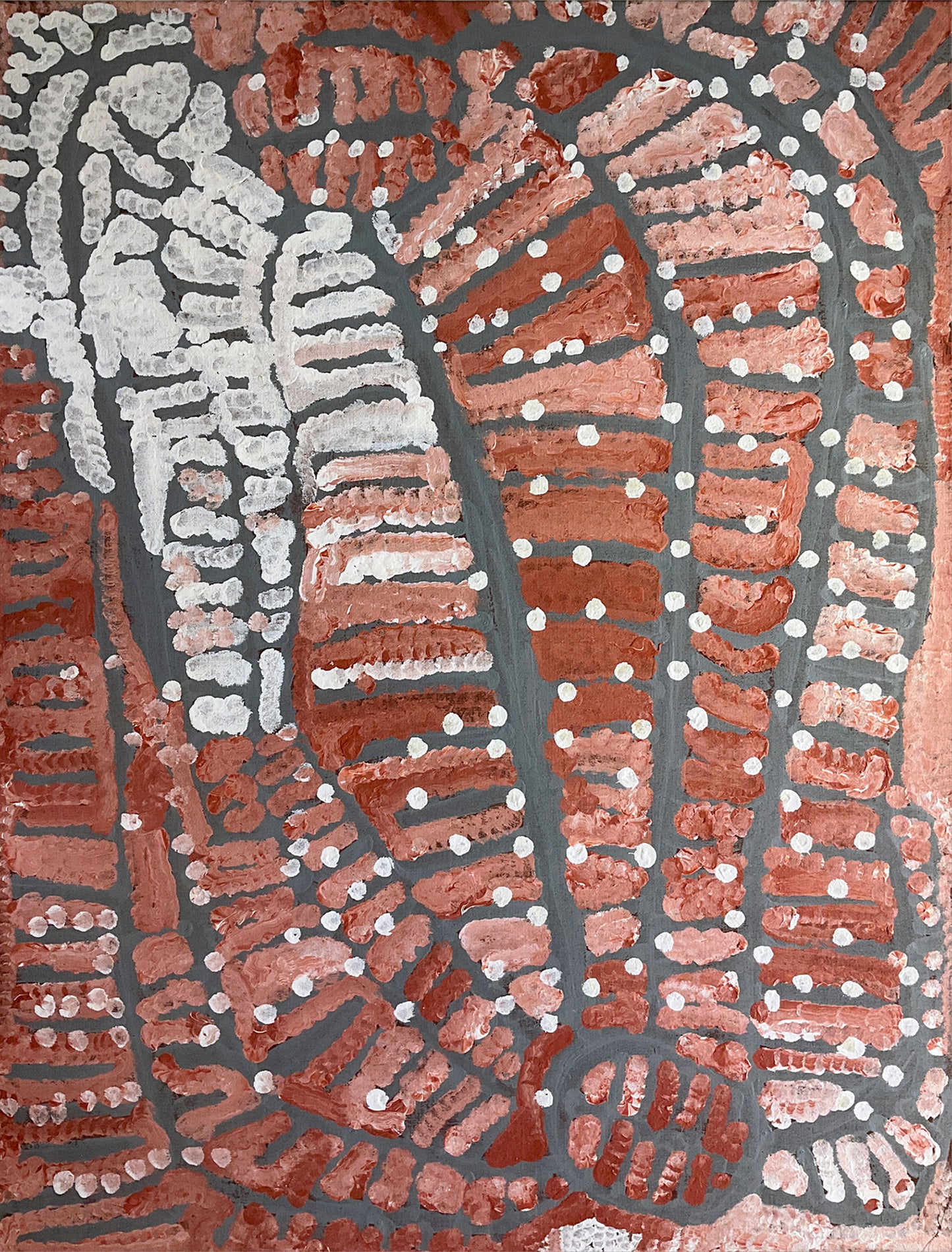 Warputi (White Potato) A4120