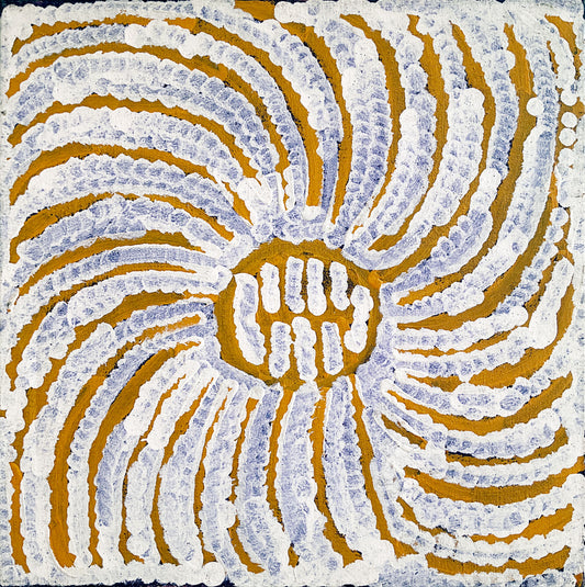 Yala (Pomme de terre de brousse) A4132