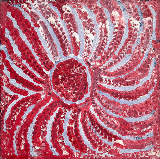 Yala (Pomme de terre de brousse) A4132