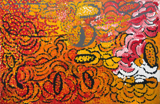 Warputi - Pomme de terre de brousse A4156