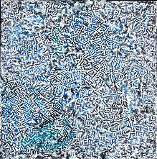 Maureen Hudson Nampitjinpa 'My Country'