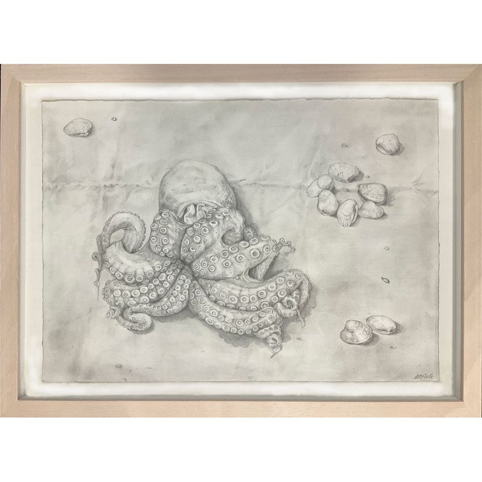 Mirra Whale | Octopus and clams - Mitchell Fine Art