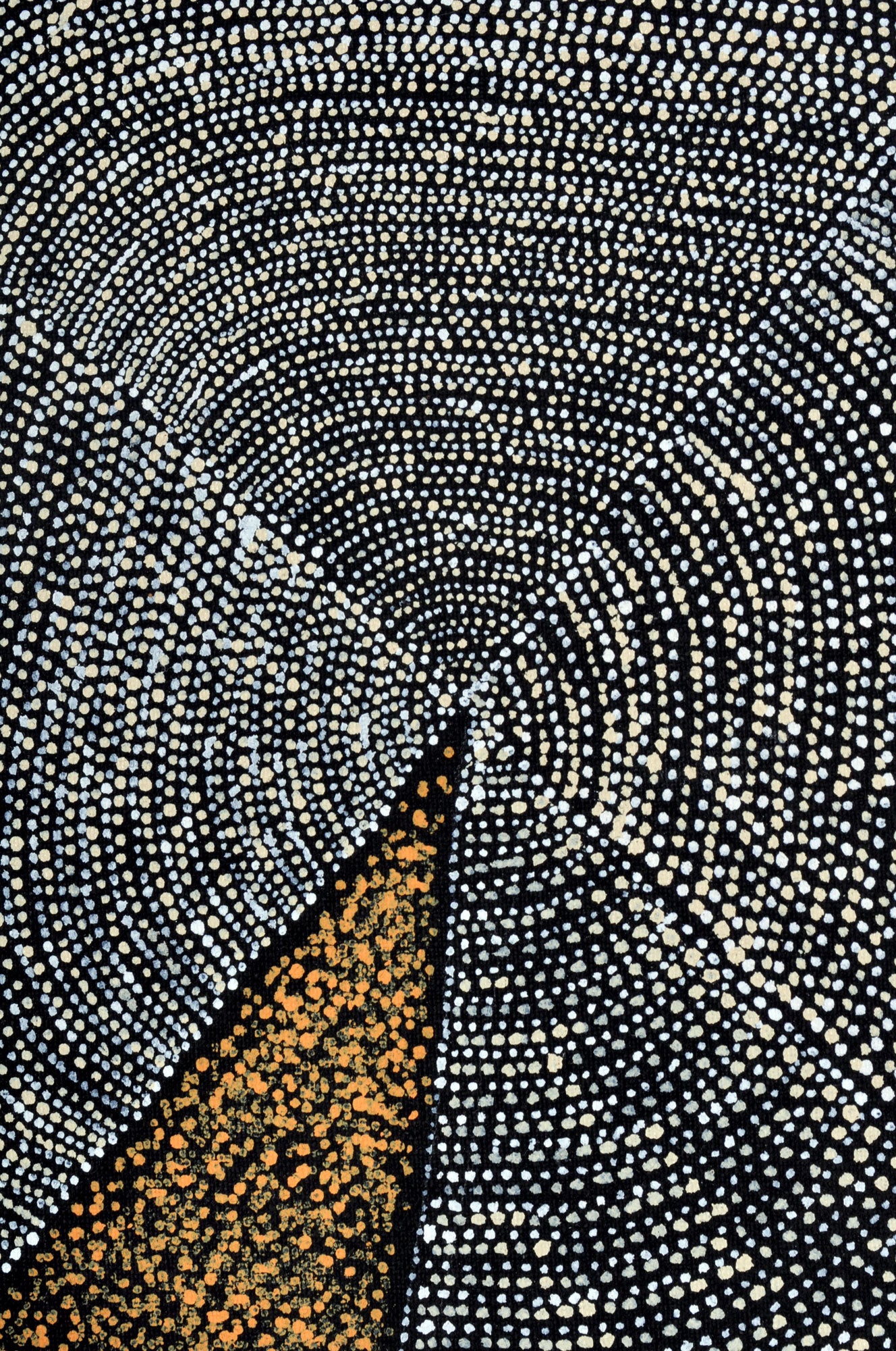 Nancy Kunoth Petyarre Aboriginal Artist