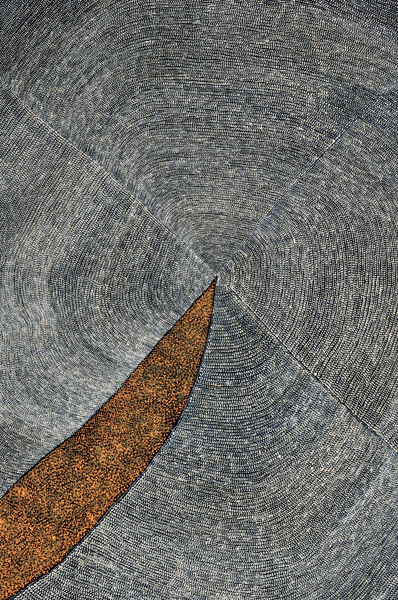 Nancy Kunoth Petyarre Aboriginal Artist