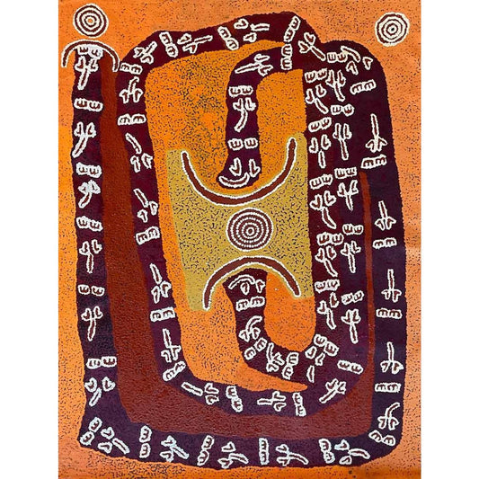 Paddy Stewart Tjapaltjarri paintings - Mitchell Fine Art