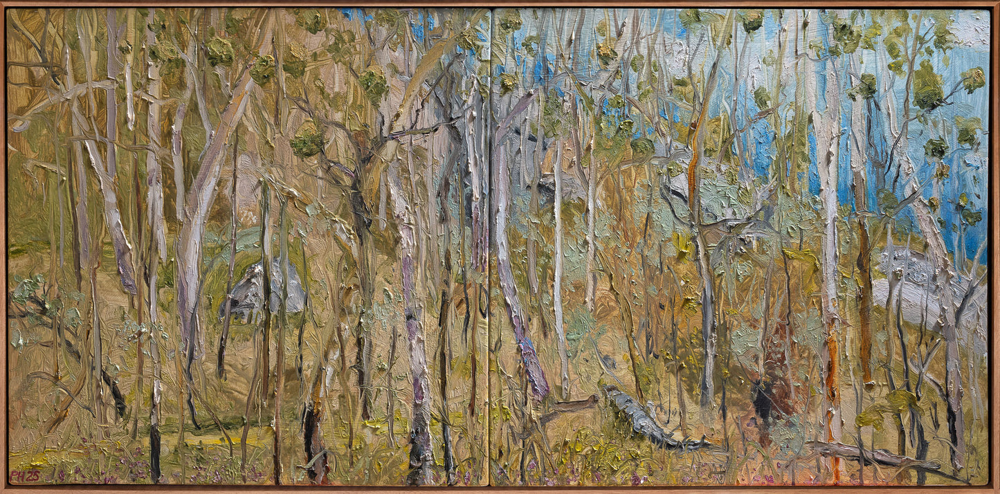 Peter Hudson 'Cania Gorge (Looking for Gil Jamieson) Diptych