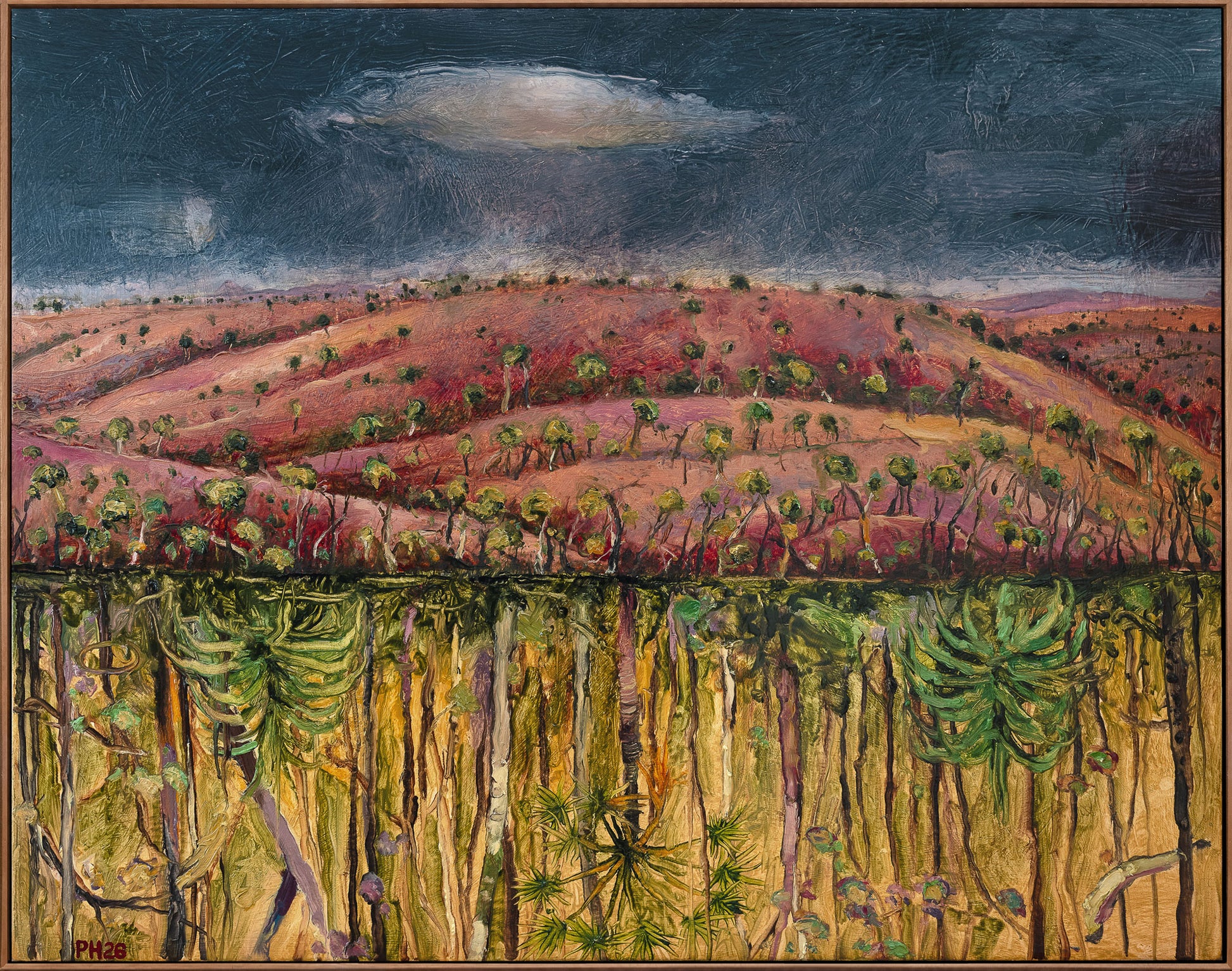 Peter Hudson 'Carnarvon Gorge Landscape'