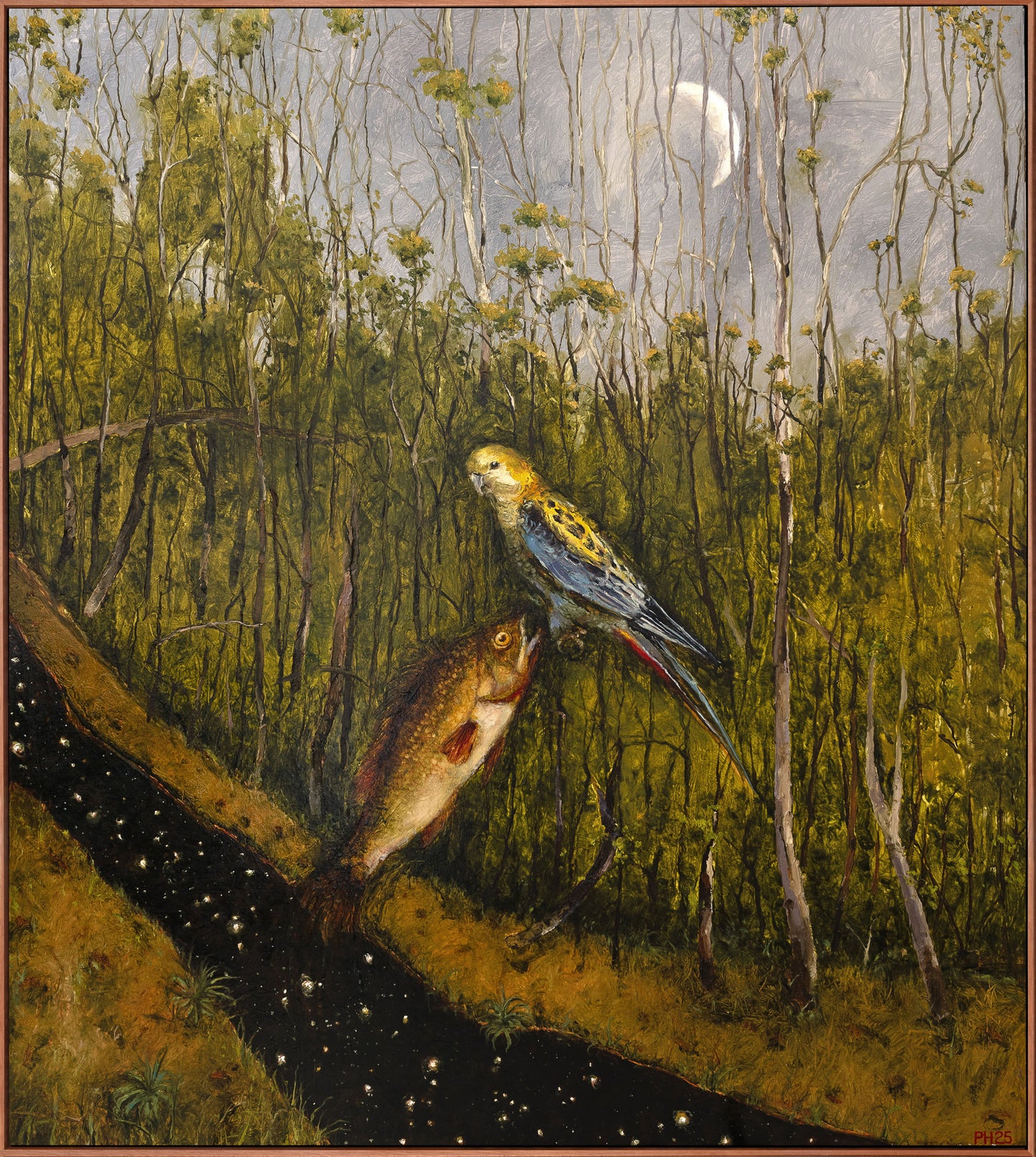 Peter Hudson 'Not Dark Yet'