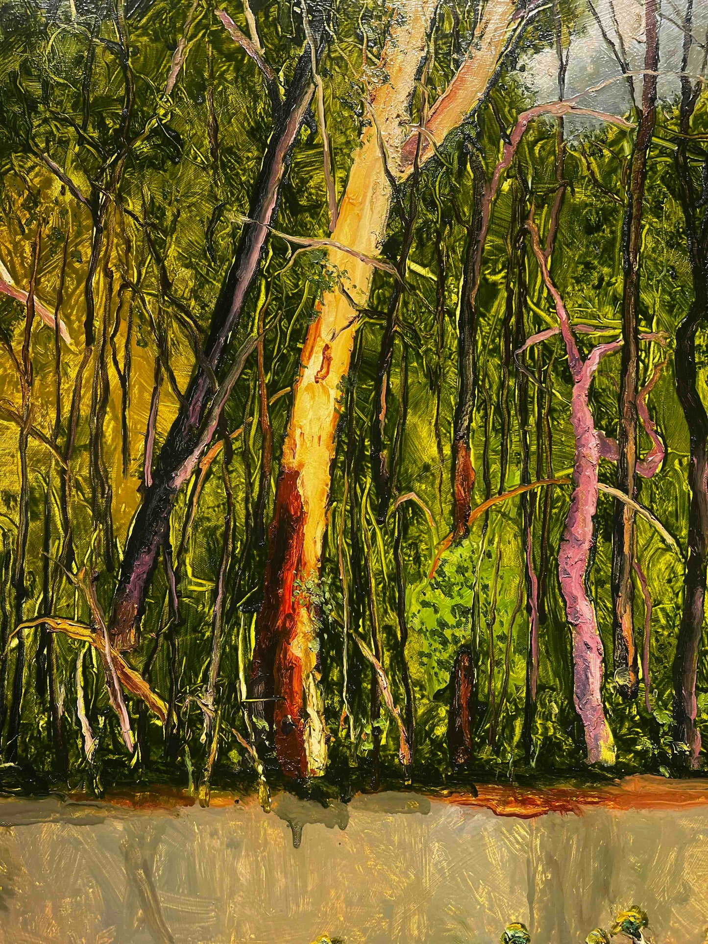 Peter Hudson artworks at Mitchell Fine Art