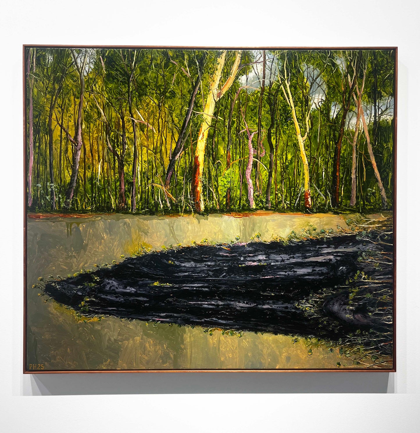 Peter Hudson artworks at Mitchell Fine Art