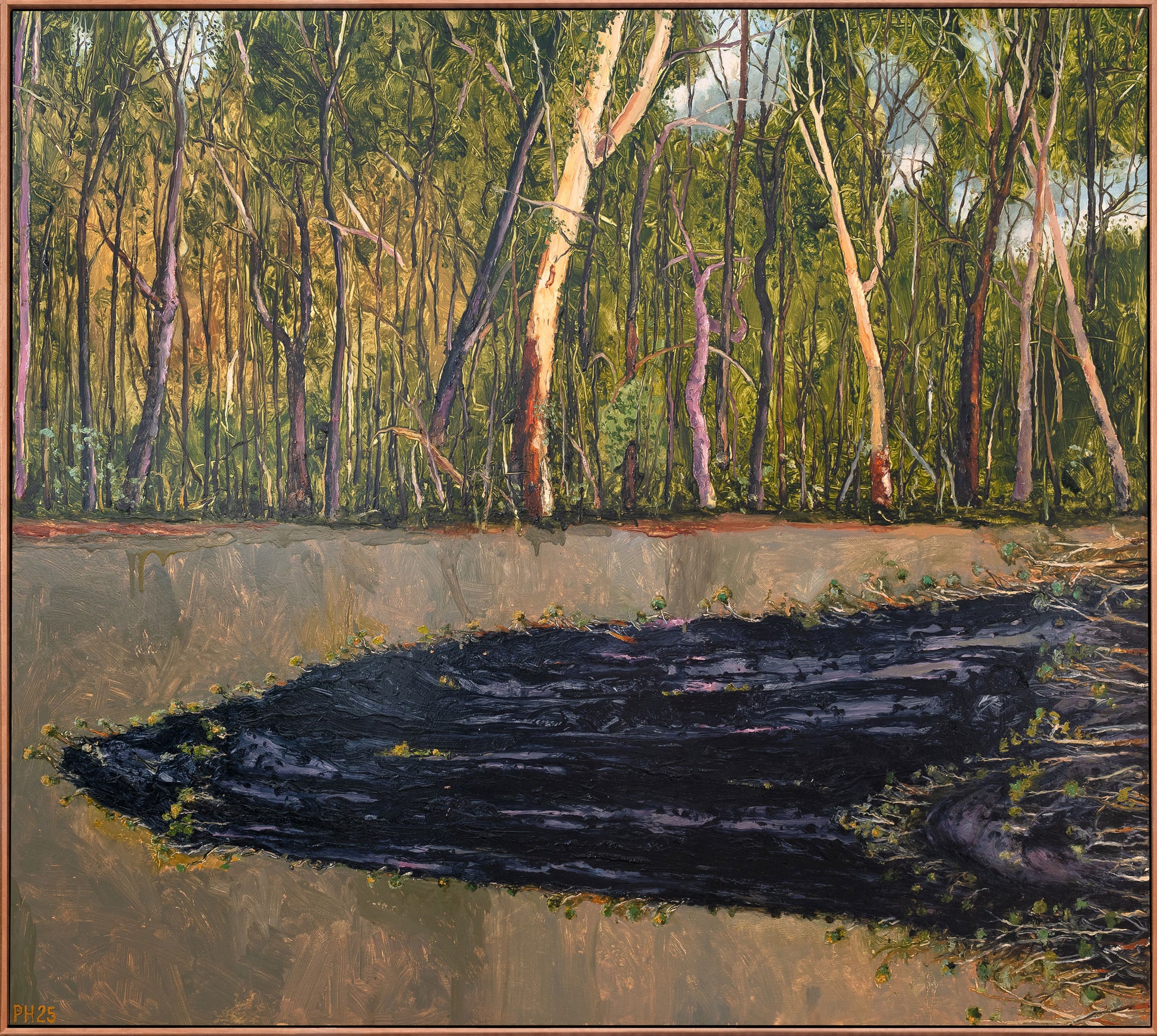 Peter Hudson 'Sleeping Mountain'