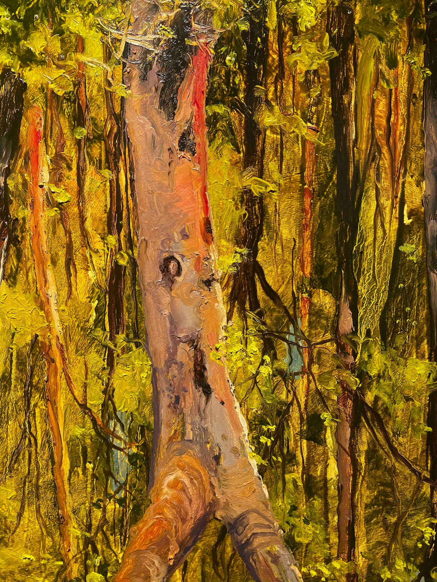 Peter Hudson artworks at Mitchell Fine Art