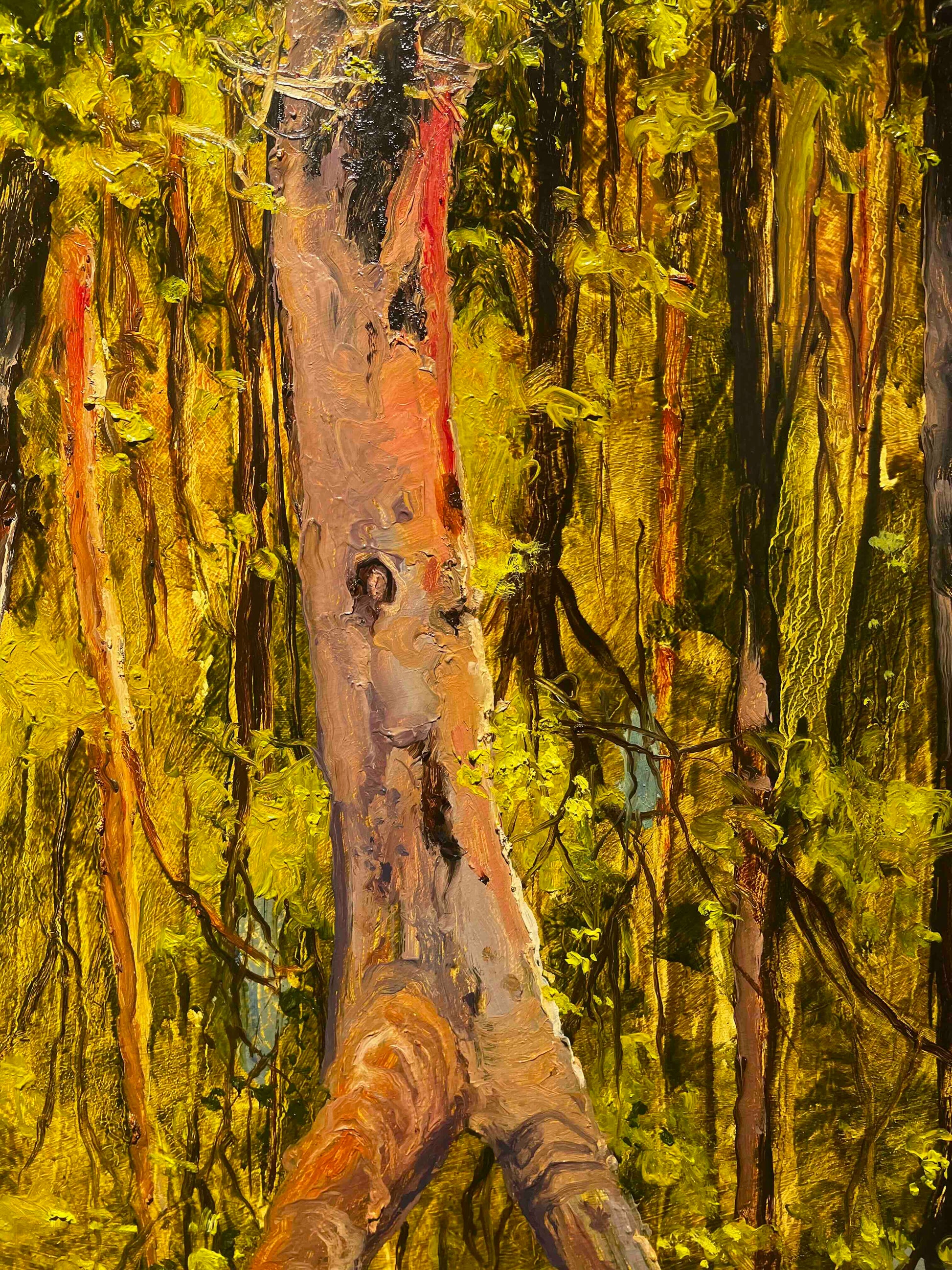 Peter Hudson artworks at Mitchell Fine Art