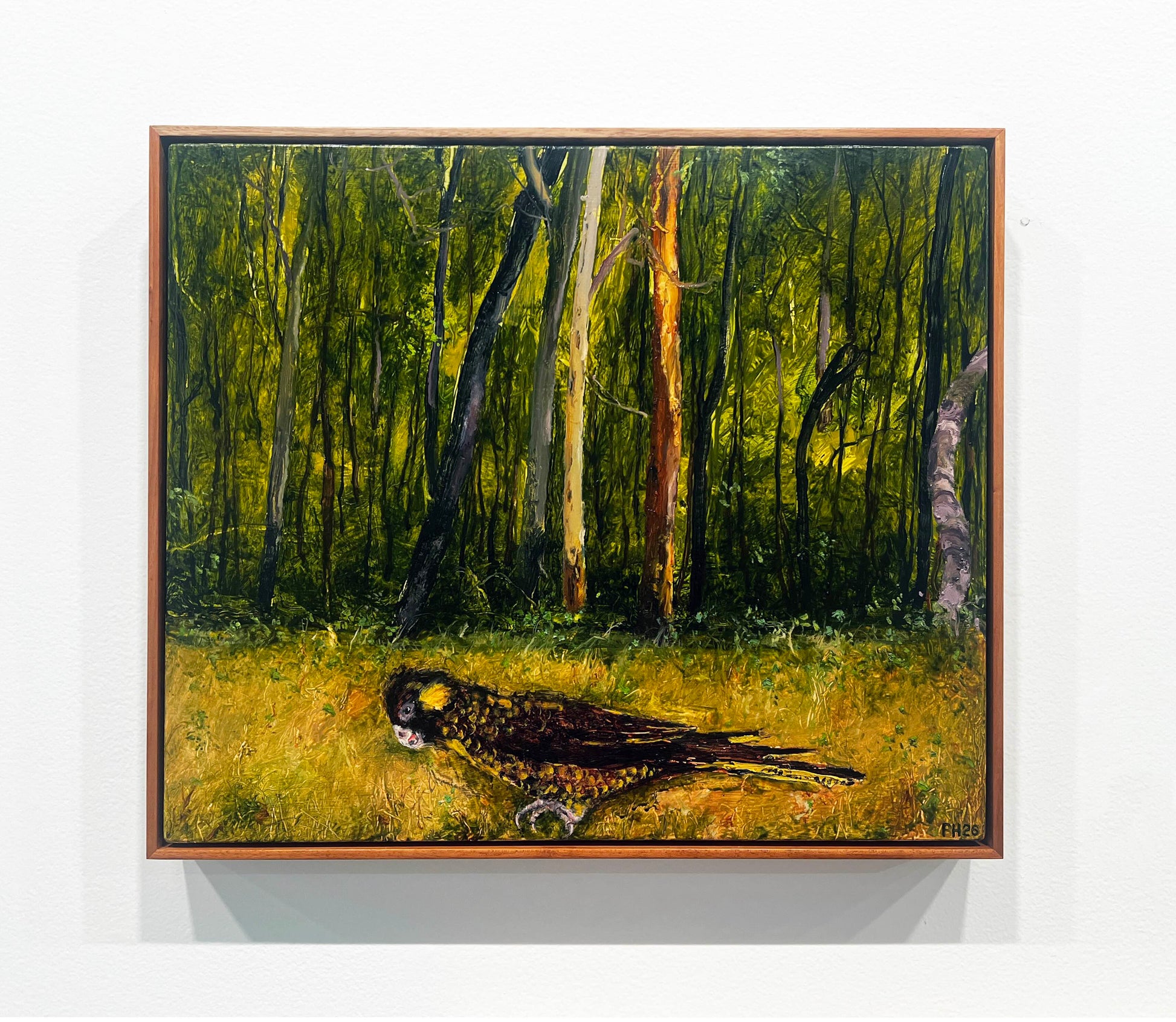 Peter Hudson artworks at Mitchell Fine Art