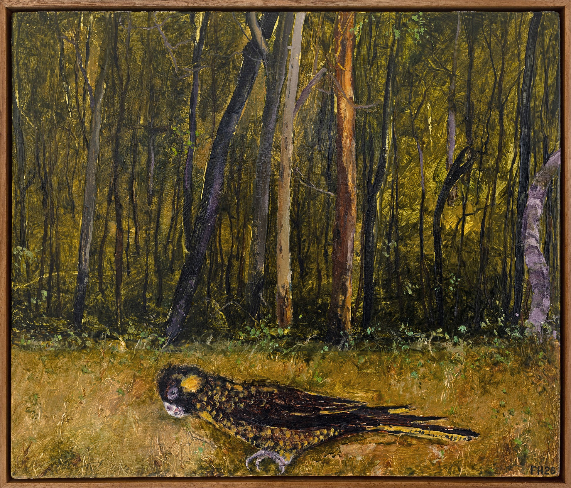 Peter Hudson 'Walking Bird'