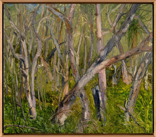 Peter Hudson artist - Brisbane Art Galleries