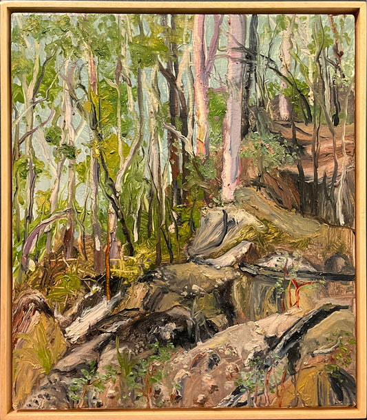 Peter Hudson art - Carnarvon Gorge paintings