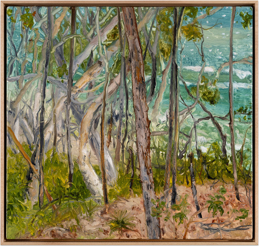 Peter Hudson artist - Noosa Landscape paintings| 'Land, Sea'