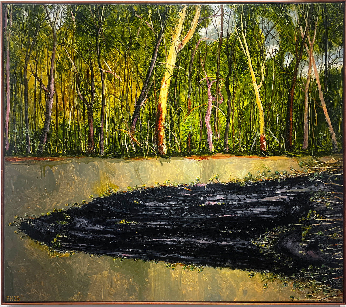 Peter Hudson paintings - Brisbane Art Gallery