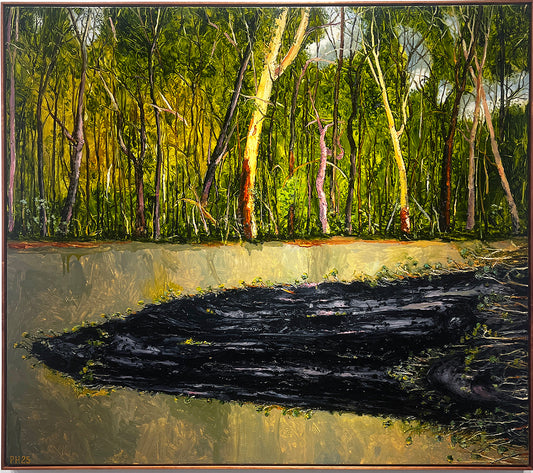 Peter Hudson paintings - Brisbane Art Gallery