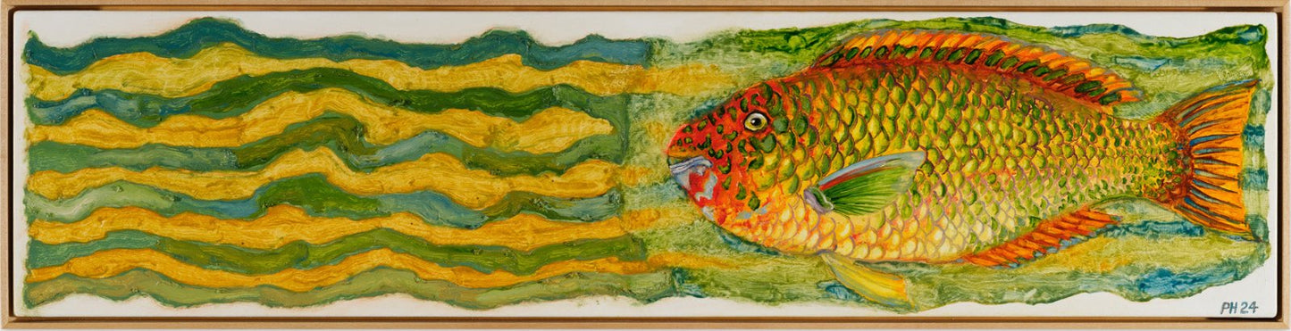 Peter Hudson artist | Fish paintings