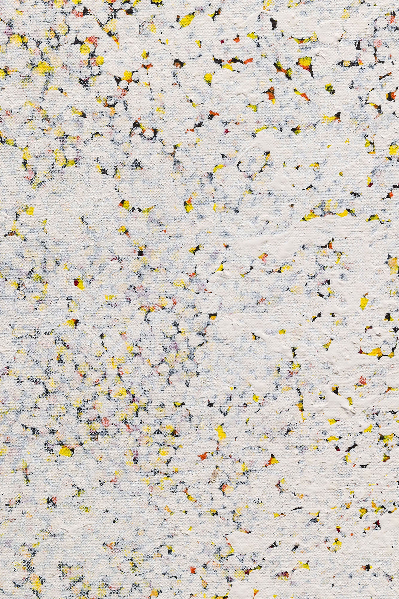 Polly Ngale 'Bush Plum Dreaming'